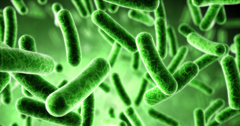 Illustration for article titled A Remote Amazonian Tribe Harbors Unprecedented Microbial Diversity